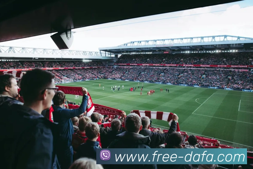 大发彩票品牌故事