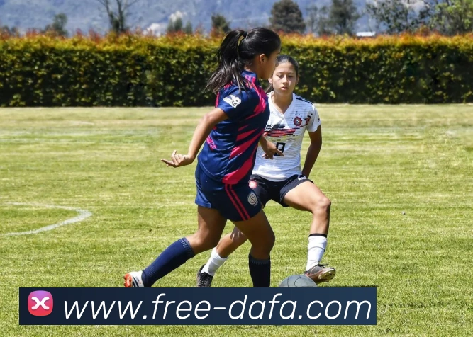 大发彩票服务体系